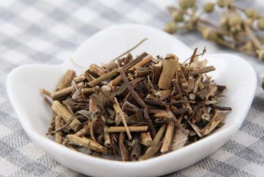 佩兰的功效与作用及副作用