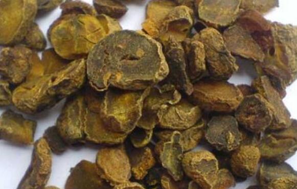 延胡索的功效与作用 延胡索的禁忌