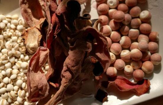 中药木棉花的功效与作用 木棉花的副作用