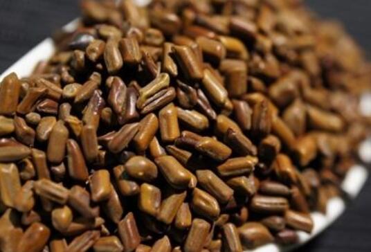 决明子的正确使用方法