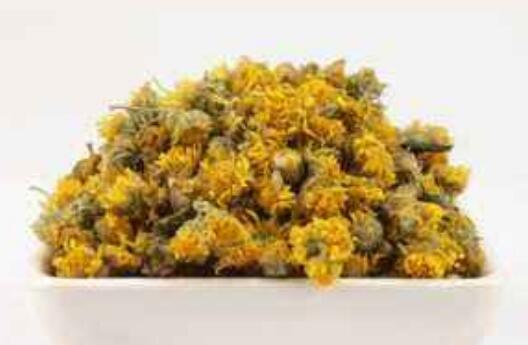 野菊花的功效与作用 野菊花的危害