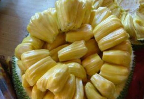 吃菠萝蜜的7大禁忌 吃菠萝蜜的好处