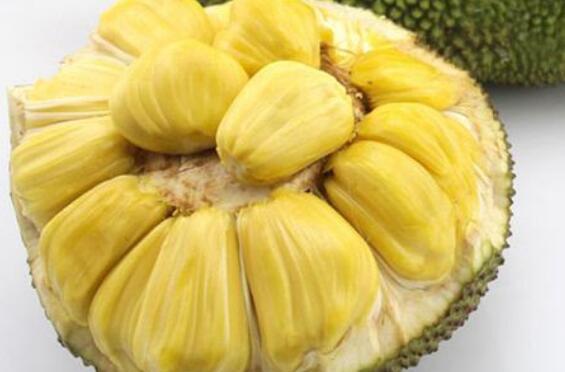 吃菠萝蜜的7大禁忌 吃菠萝蜜的好处