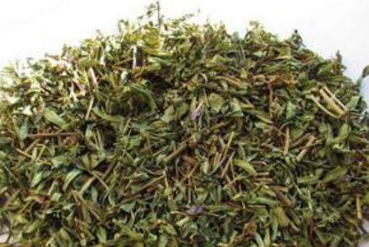黄芩茶如何做 自家黄芪茶制作方法