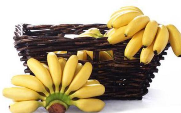 都乐皇帝蕉和香蕉的区别 都乐皇帝蕉的吃法