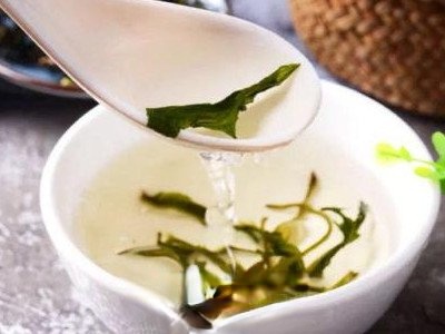 女性喝蒲公英茶的好处