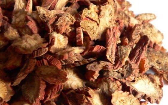 紫丹参和丹参的区别 紫丹参的食用方法