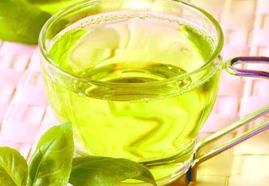 生茶油的功效与作用 生茶油的好处