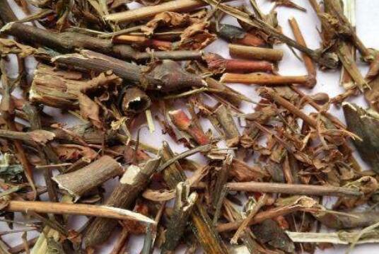 山香草的功效与作用