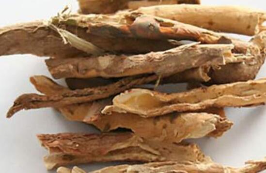 五加皮与刺五加区别