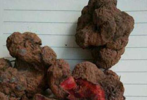 紫绒三七的功效与作用