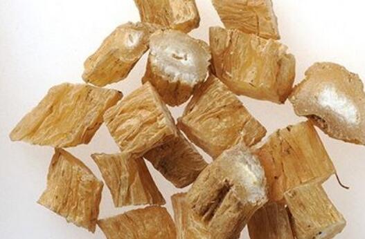 生百部和熟百部的区别  百部的用法