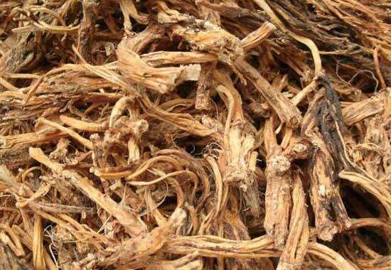 秦艽的功效与作用 秦艽的副作用与禁忌