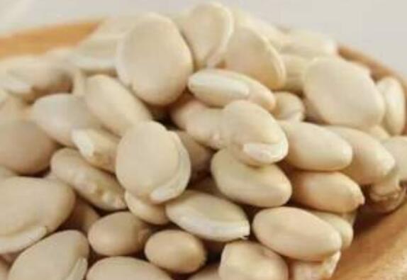 白扁豆的功效与作用与禁忌
