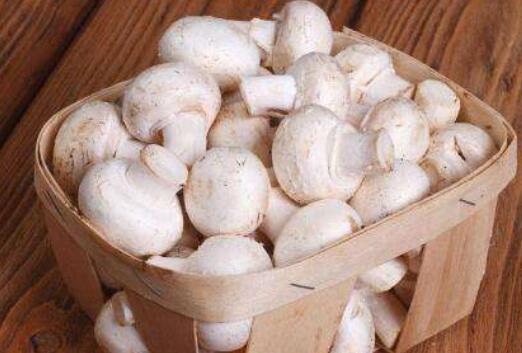 白蘑菇的做法 白蘑菇怎么做好吃