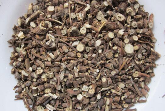 北柴胡的功效与作用及禁忌