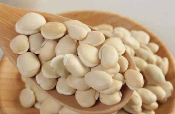 炒白扁豆的功效与作用 炒白扁豆怎么做好吃