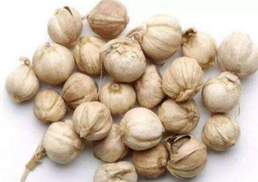 白豆蔻的功效与作用 白豆蔻的禁忌
