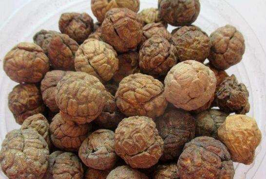 草豆蔻和白豆蔻的区别