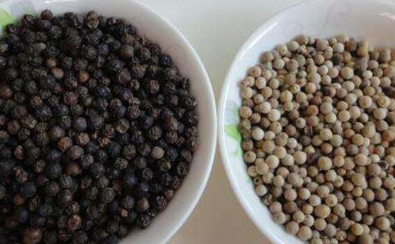 白胡椒与黑胡椒功效区别 白胡椒和黑胡椒有什么不同