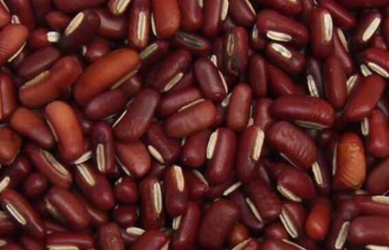 赤小豆的功效与作用 赤小豆的营养价值
