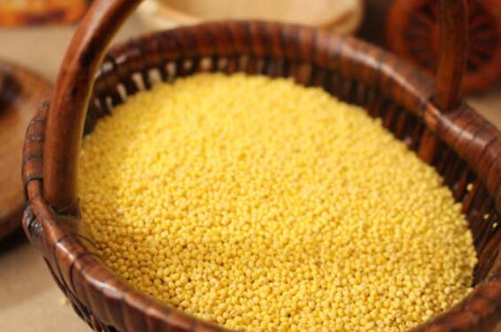 大黄米怎么吃 大黄米的食用方法