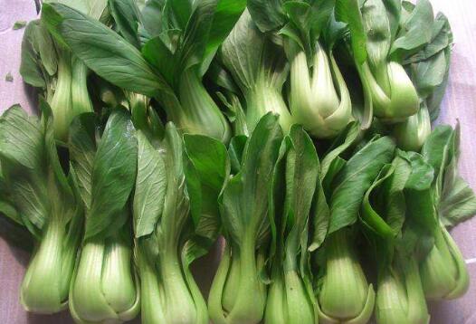 吃油菜的好处和坏处