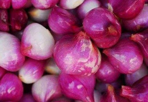 白洋葱和红洋葱的区别