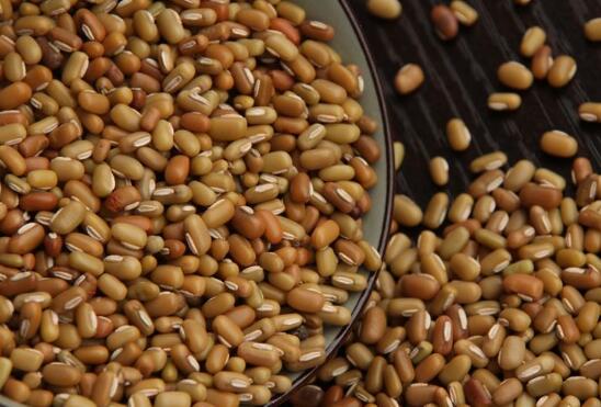 竹豆怎么吃比较好 竹豆的食用方法_绿豆_做法,功效与作用,营养价值zip