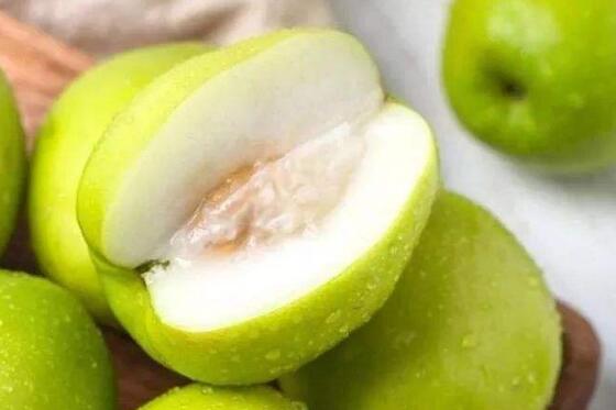 牛奶枣的功效与作用 牛奶枣</div>
  </mip-showmore>
<div on=