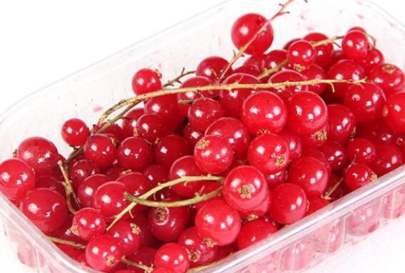 红醋栗的功效与作用