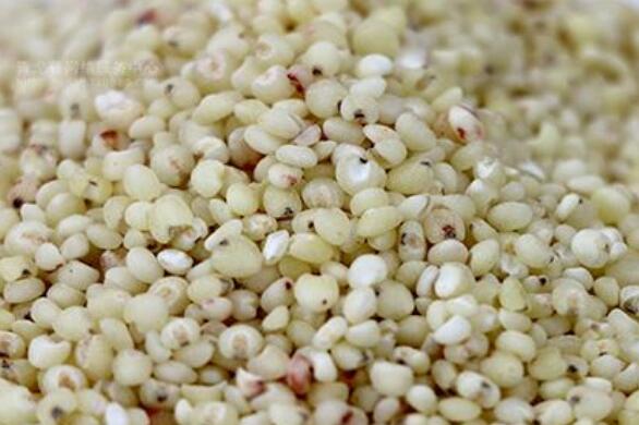 秫米与高粱米的区别 吃秫米的好处