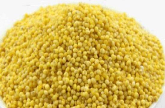 秫米与高粱米的区别 吃秫米的好处