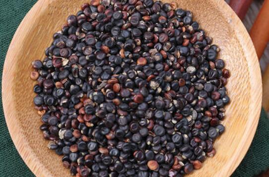 水红花子的功效的与作用 水红花子的副作用