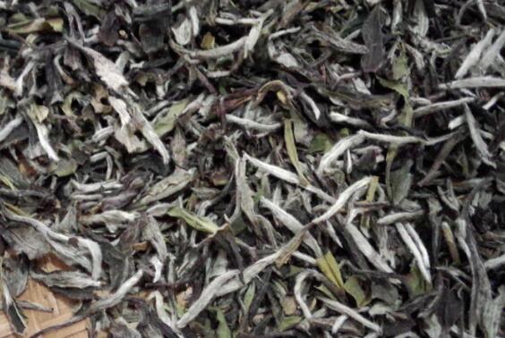 福鼎大白茶和小白茶的区别